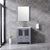 Lexora Volez LV341830SBES000 30" Single Bathroom Vanity in Dark Grey, Integrated Rectangle Sink, Rendered with Mirror