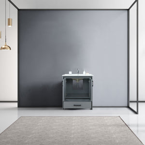 Lexora Ziva LZV352230SBJS000 30" Single Bathroom Vanity in Dark Grey with Cultured Marble, Integrated Sink, Rendered Open Doors